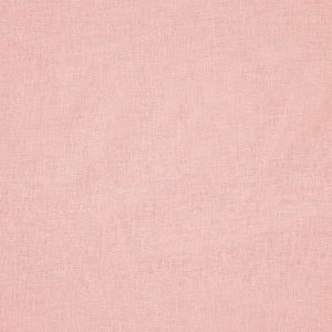 Tranquil Rosebud
